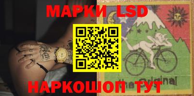 прущие грибы Будённовск