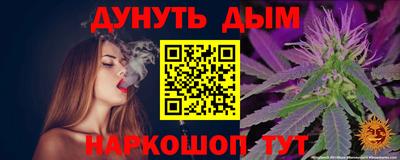 прущие грибы Будённовск