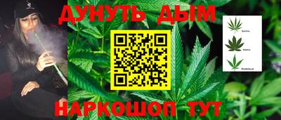 прущие грибы Будённовск